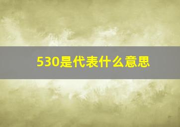 530是代表什么意思