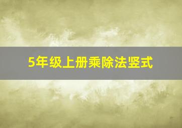 5年级上册乘除法竖式