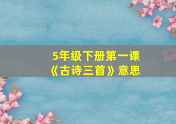 5年级下册第一课《古诗三首》意思