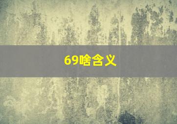 69啥含义