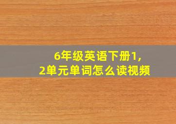 6年级英语下册1,2单元单词怎么读视频