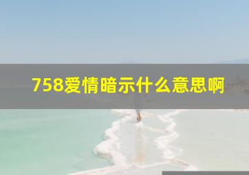 758爱情暗示什么意思啊