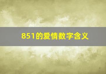 851的爱情数字含义