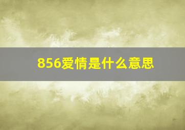 856爱情是什么意思