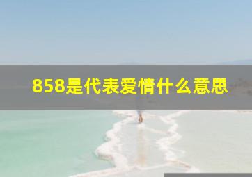 858是代表爱情什么意思