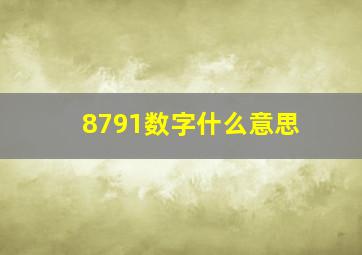 8791数字什么意思