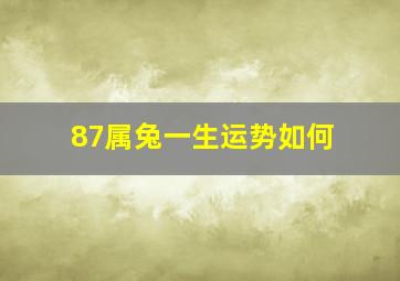 87属兔一生运势如何