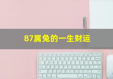 87属兔的一生财运