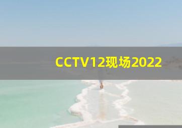 CCTV12现场2022