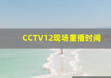 CCTV12现场重播时间