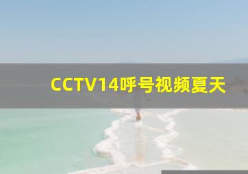 CCTV14呼号视频夏天