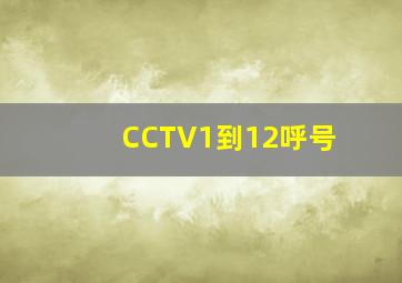 CCTV1到12呼号