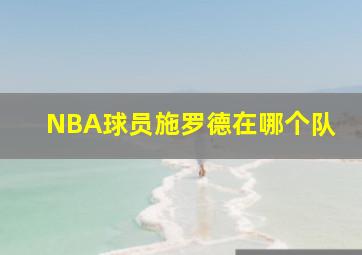 NBA球员施罗德在哪个队