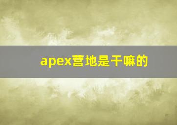 apex营地是干嘛的