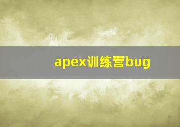 apex训练营bug