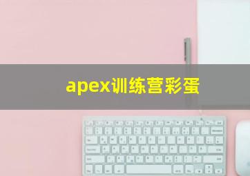 apex训练营彩蛋