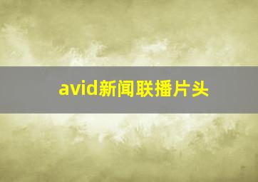 avid新闻联播片头