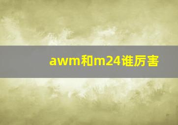 awm和m24谁厉害