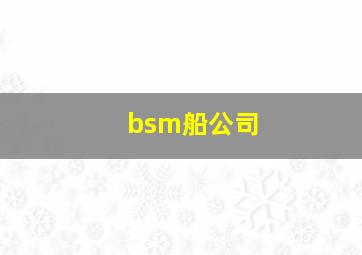 bsm船公司