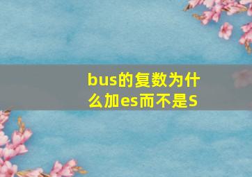 bus的复数为什么加es而不是S