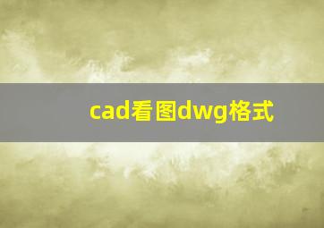 cad看图dwg格式