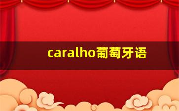 caralho葡萄牙语