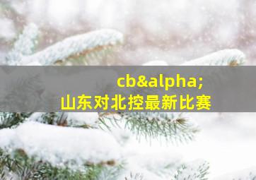 cbα山东对北控最新比赛