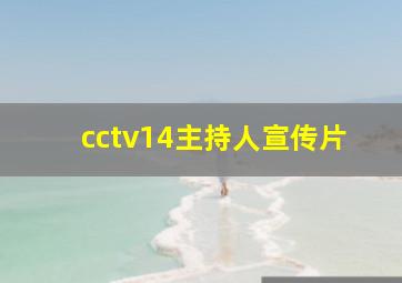 cctv14主持人宣传片