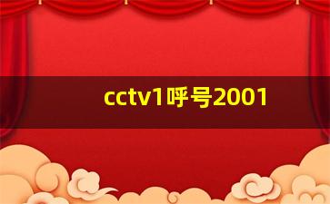 cctv1呼号2001