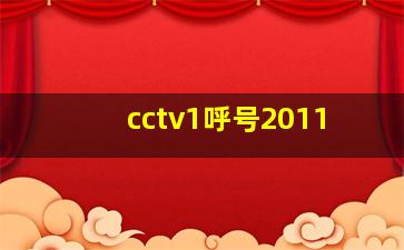 cctv1呼号2011