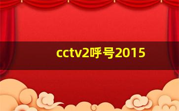 cctv2呼号2015