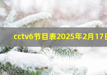 cctv6节目表2025年2月17日