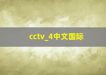 cctv_4中文国际