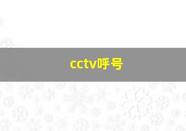 cctv呼号