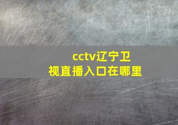 cctv辽宁卫视直播入口在哪里