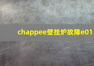 chappee壁挂炉故障e01