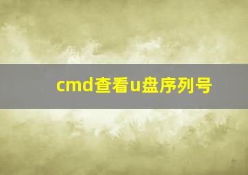 cmd查看u盘序列号