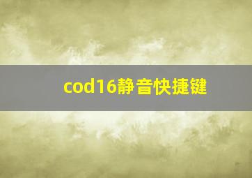 cod16静音快捷键