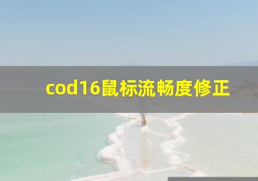 cod16鼠标流畅度修正