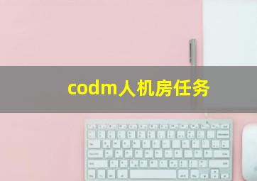 codm人机房任务