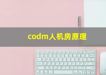 codm人机房原理