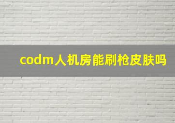 codm人机房能刷枪皮肤吗