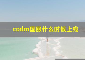 codm国服什么时候上线