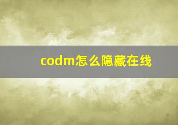 codm怎么隐藏在线