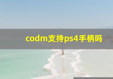 codm支持ps4手柄吗