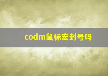 codm鼠标宏封号吗