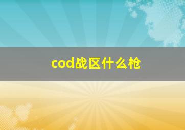 cod战区什么枪