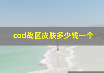 cod战区皮肤多少钱一个