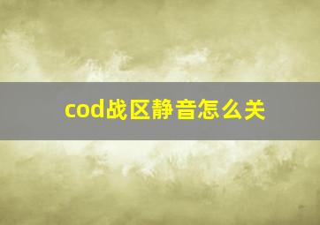 cod战区静音怎么关