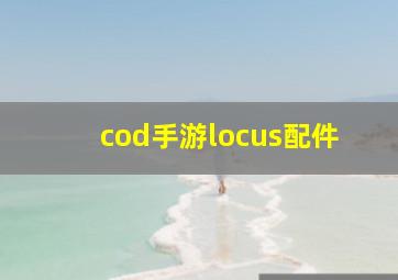 cod手游locus配件